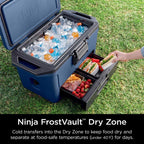 Ninja FrostVault Blue 50 qt. cap. Hard Cooler